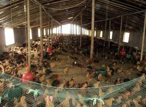 硒生产安全农产品（安全农产品是）-硒宝网