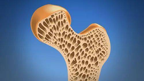9岁儿童吃什么钙片补钙效果好（儿童吃钙片什么样的好）-硒宝网