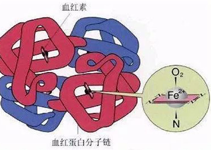 人体内微量元素（人体体内微量元素）-硒宝网