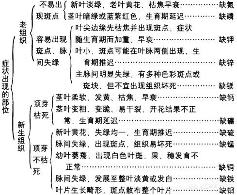 微量元素作用(铜的微量元素作用)-硒宝网