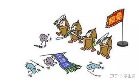 微量元素硒（微量元素硒食物有哪些）-硒宝网