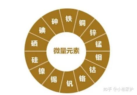 人体内含量最多的微量元素是(内含人体微量元素量是什么意思)-硒宝网