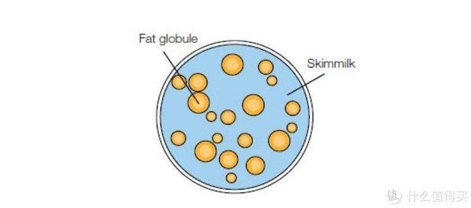 什么牛奶补钙(牛奶补钙的骗局)-硒宝网