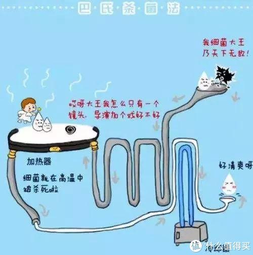 什么牛奶补钙(牛奶补钙的骗局)-硒宝网