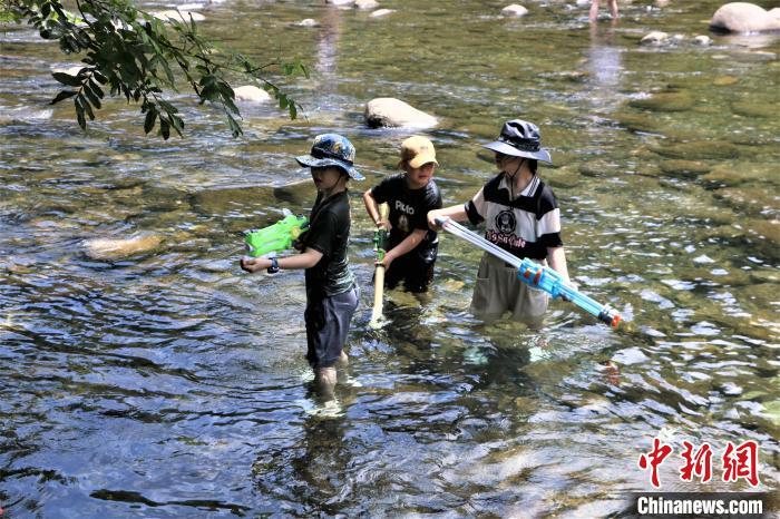 池州石台硒农产品（石台县硒）-硒宝网