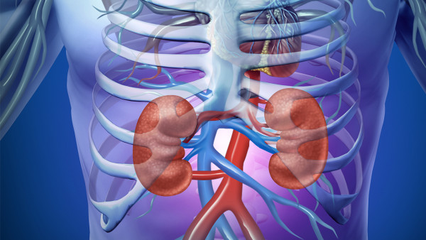 什么牛奶补钙（牛奶补钙是最大的谎言）-硒宝网