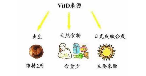 吃啥补钙（补钙吃什么食物最好最快）-硒宝网