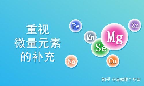 如何补充微量元素(微量补充元素有哪些)-硒宝网
