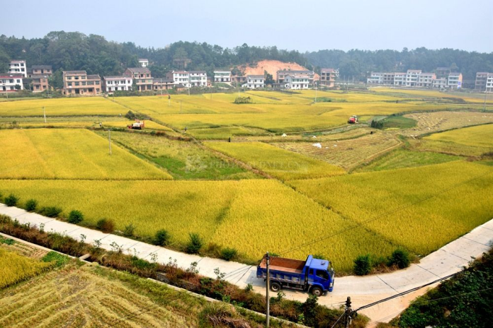 石台县打造硒产品(石台县硒的含量地方)-硒宝网