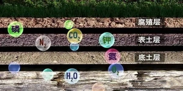 微量元素检测(微量元素检测挂号哪个科室)-硒宝网