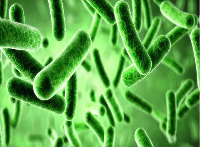 硒产品治疗食道癌(硒与食管癌的作用)-硒宝网