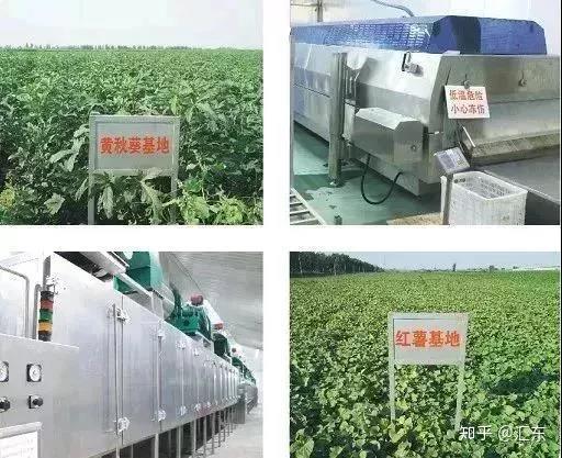 中农硒源系列产品（中农硒源原始股）-硒宝网