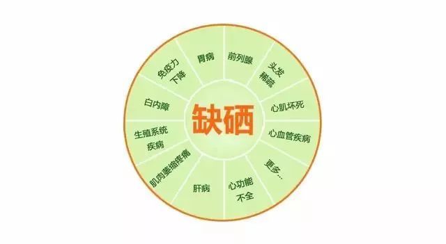 含有无机硒的产品（含硒的无机盐食物来源）-硒宝网