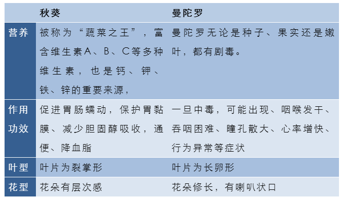 微量元素的作用和功能(微量元素的功能)-硒宝网