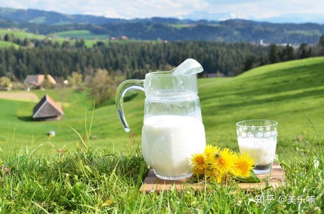 牛奶 补钙(牛奶补钙好还是钙片补钙好)-硒宝网
