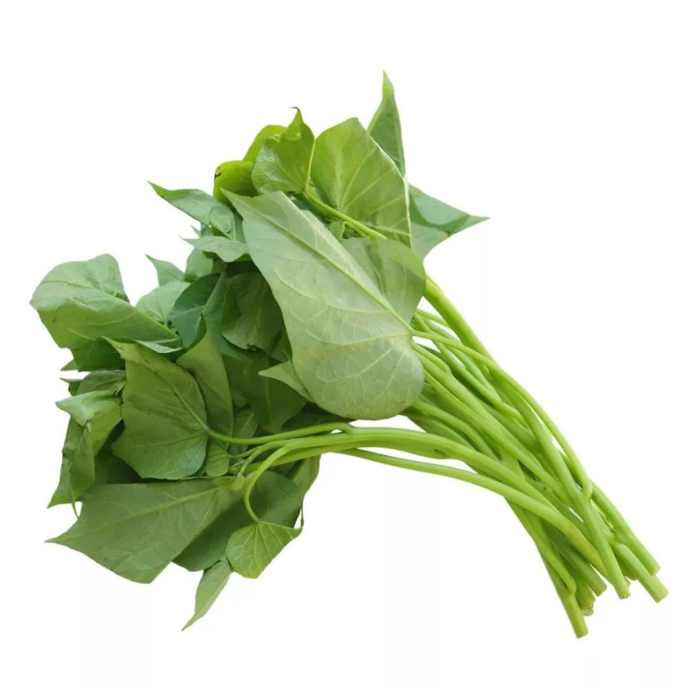 补钙蔬菜（蔬菜补钙有哪些）-硒宝网