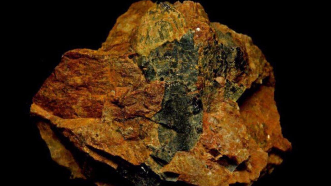 微量元素表（微量元素表怎么看）-硒宝网