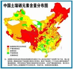第4代有机硒产品（硒的几代）-硒宝网