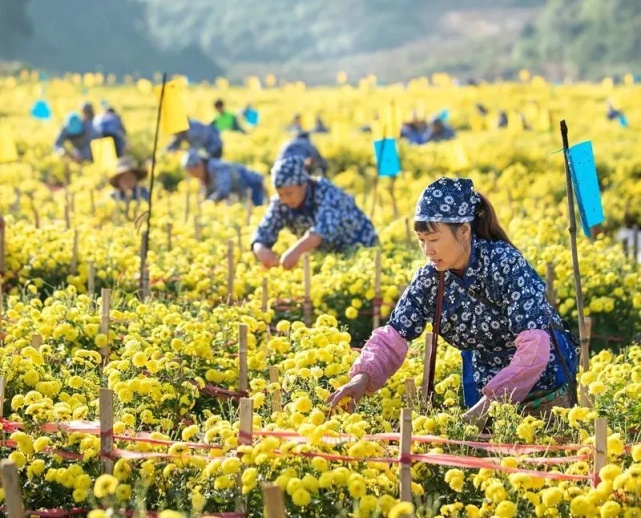 温汤镇硒产品基地(富硒温汤镇)-硒宝网