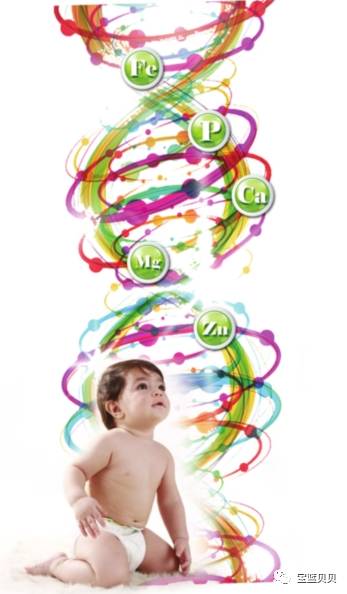 微量元素有必要检查吗(必要微量元素检查有几项)-硒宝网