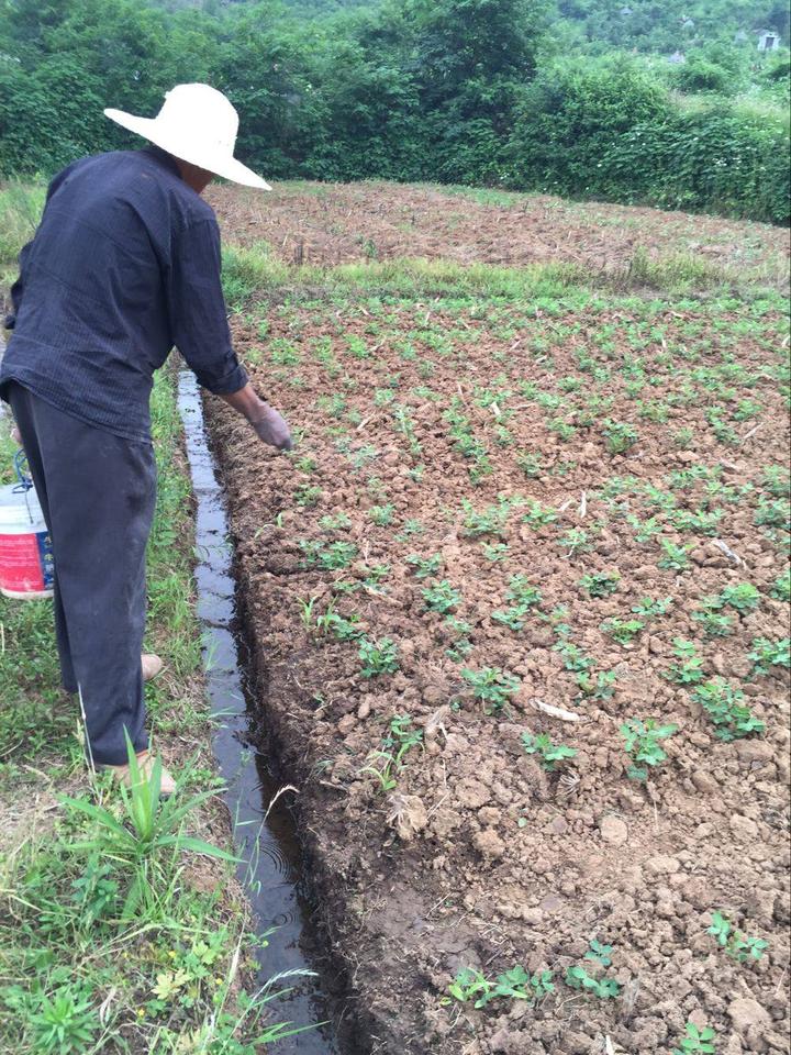 卖硒产品宣传功效(硒的广告)-硒宝网