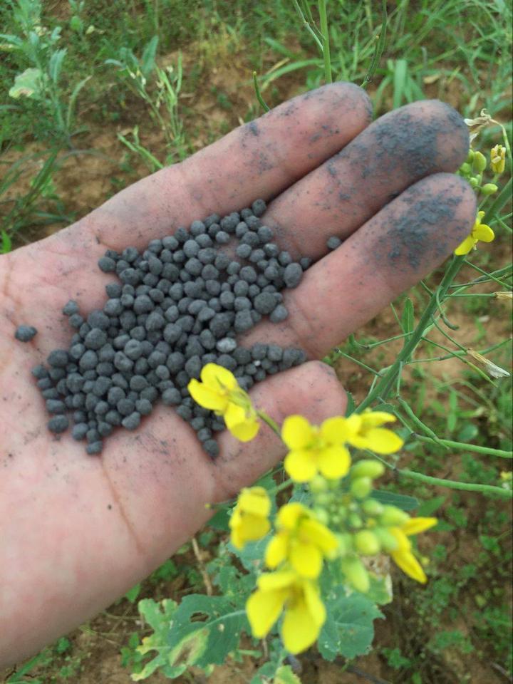 卖硒产品宣传功效(硒的广告)-硒宝网