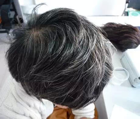 微量元素是哪6种(微量元素元素)-硒宝网