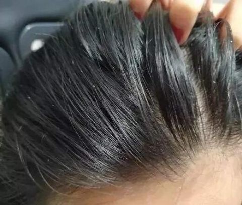 微量元素是哪6种(微量元素元素)-硒宝网