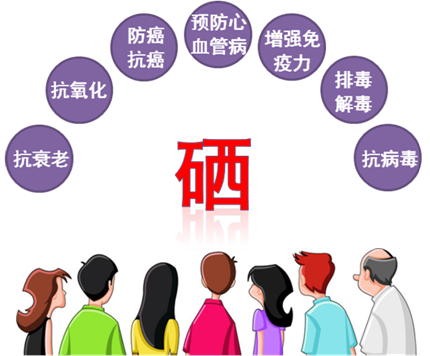 含硒产品能防癌吗（硒防癌抗癌）-硒宝网