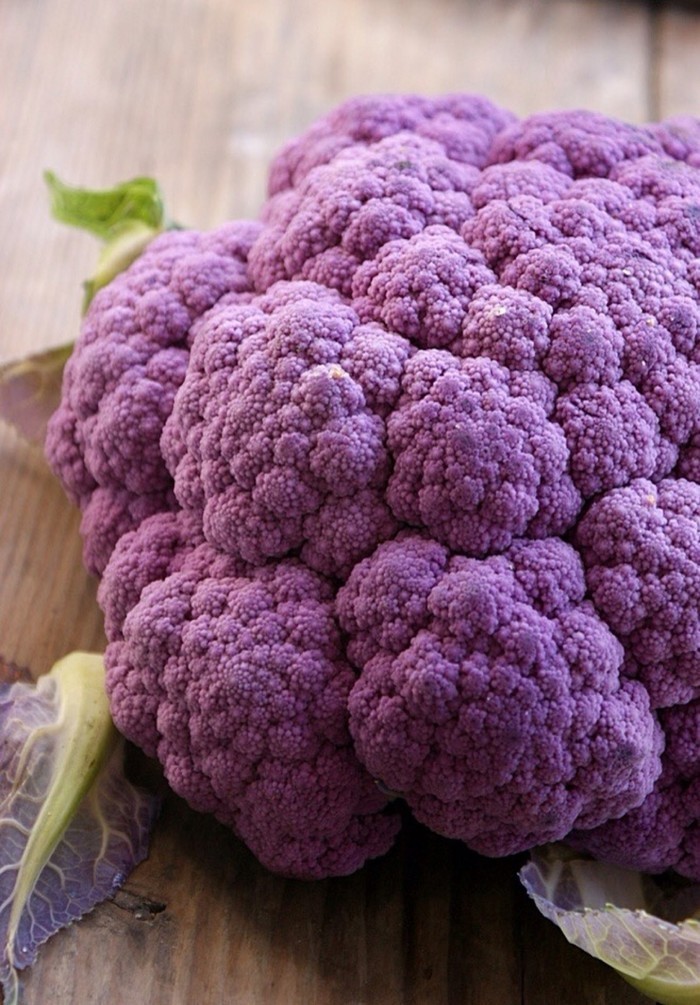 老年补钙哪种钙片好(补钙老年种钙片好不好)-硒宝网