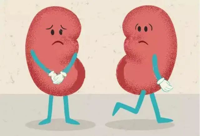 锌元素的作用（锌元素有啥用）-硒宝网