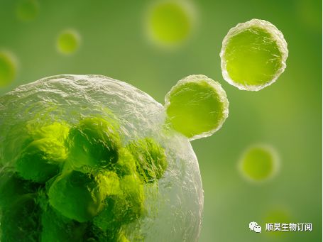 钠是微量元素吗(钠微量元素是哪些)-硒宝网