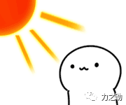 补钙的汤(骨头汤补钙)-硒宝网