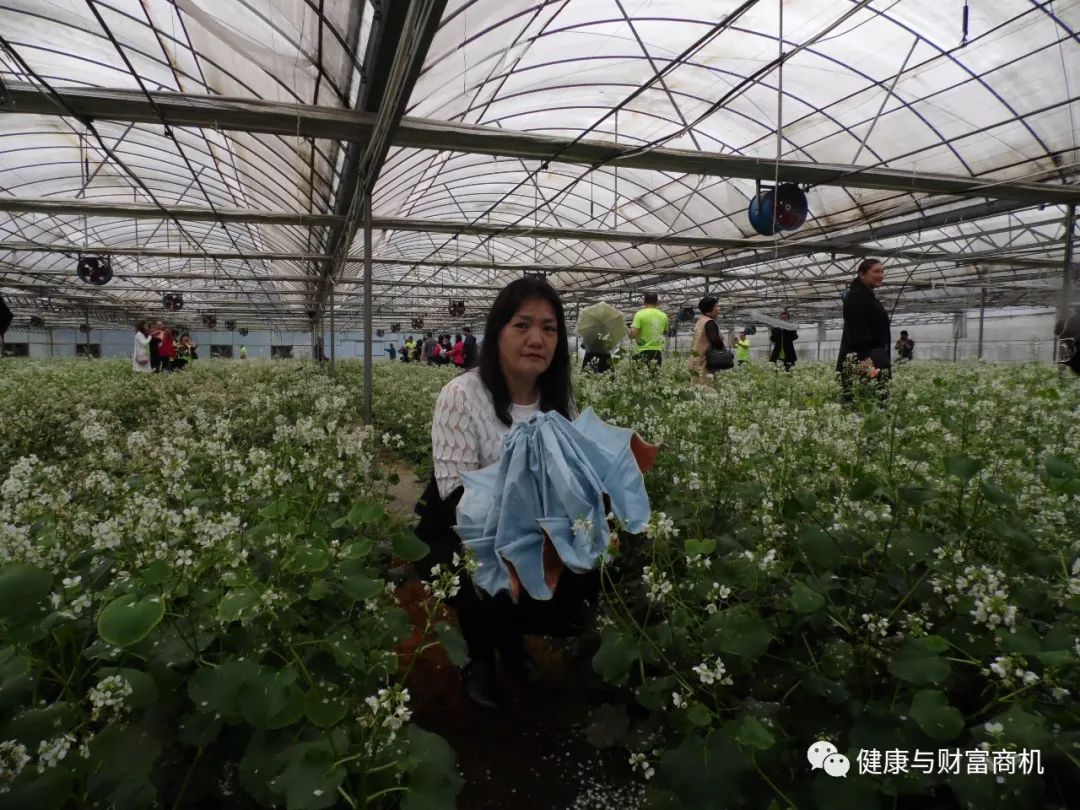 硒产品是弱减性吗(富硒弱碱性水)-硒宝网