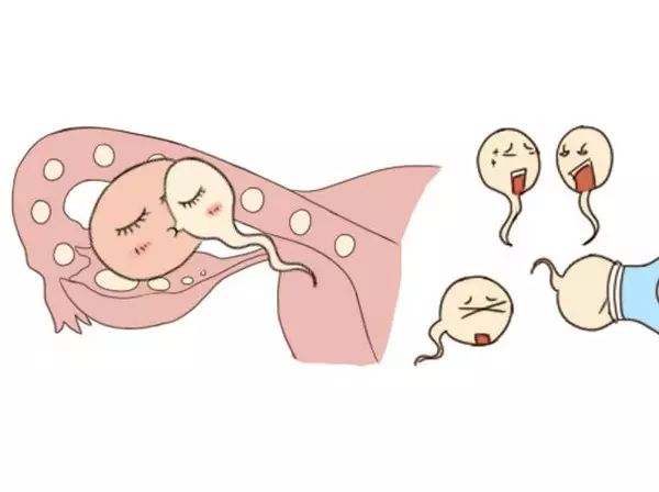 硒产品是弱减性吗(富硒弱碱性水)-硒宝网