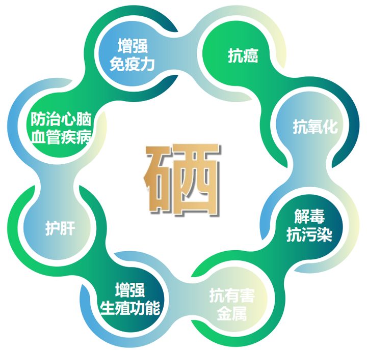 含硒元素的农产品(农用硒元素)-硒宝网