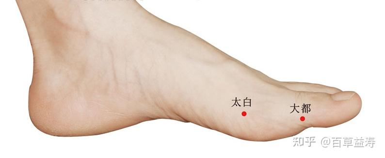 怎么补钙(补钙最快最有效的方法)-硒宝网