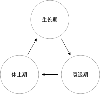 硒产品会掉头发吗(掉头发产品硒会变黑吗)-硒宝网