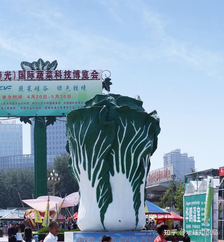 山东富硒农产品群（山东富硒农产品网）-硒宝网