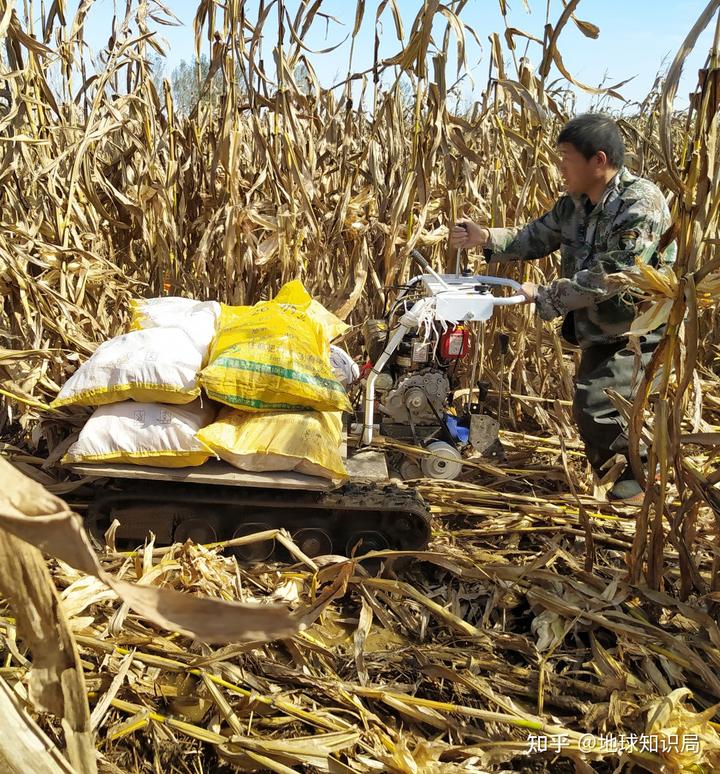 山东富硒农产品群（山东富硒农产品网）-硒宝网