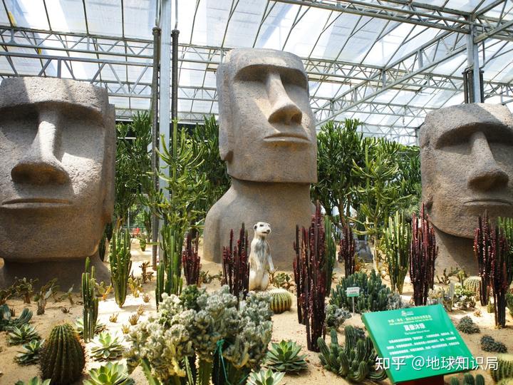 山东富硒农产品群（山东富硒农产品网）-硒宝网