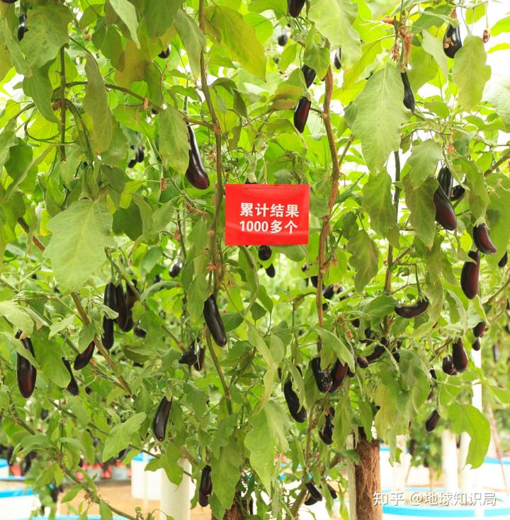 山东富硒农产品群（山东富硒农产品网）-硒宝网