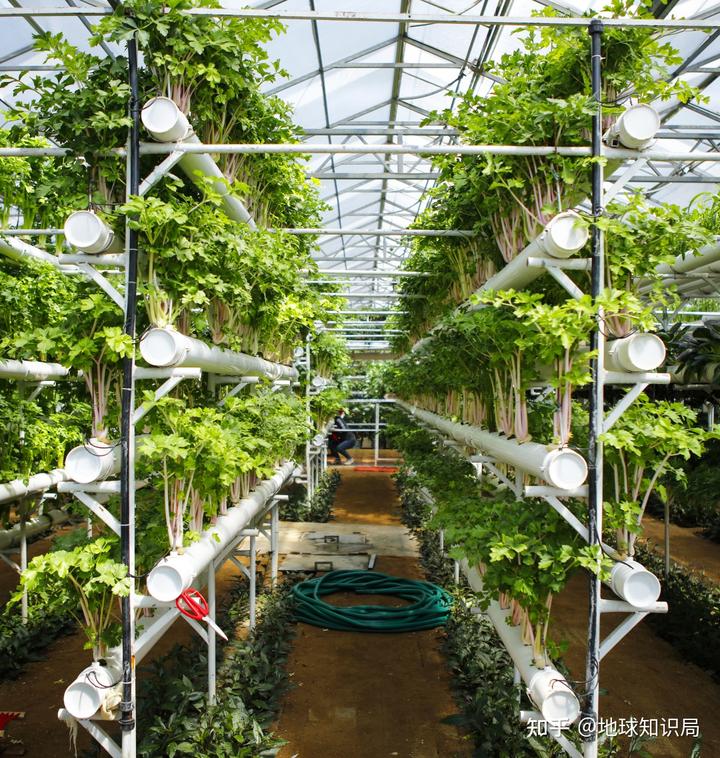 山东富硒农产品群（山东富硒农产品网）-硒宝网