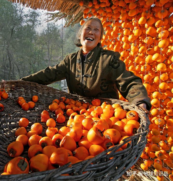 山东富硒农产品群（山东富硒农产品网）-硒宝网