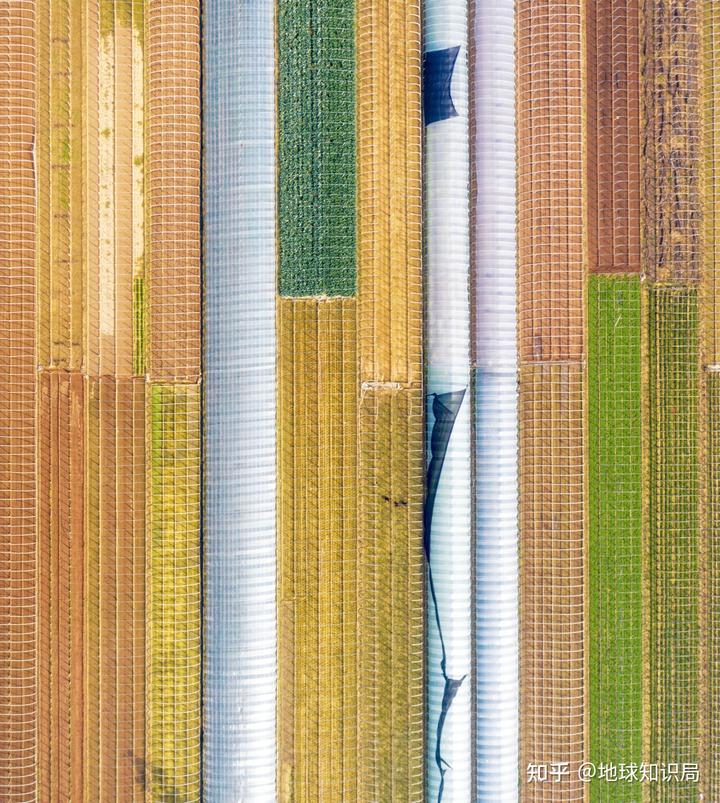 山东富硒农产品群（山东富硒农产品网）-硒宝网