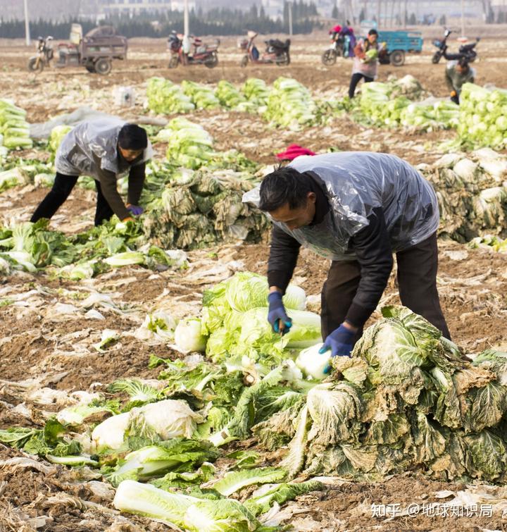 山东富硒农产品群（山东富硒农产品网）-硒宝网