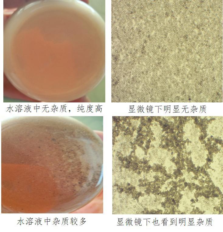 含硒产品质量认定（食品硒含量标准）-硒宝网