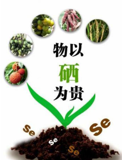 中科院对硒的产品(中科院生产的硒)-硒宝网