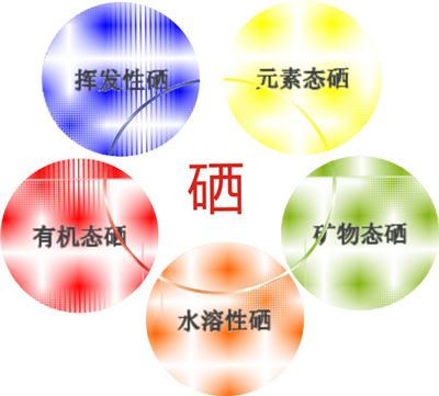 中科院对硒的产品(中科院生产的硒)-硒宝网