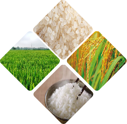 农产品中的硒元素(农元素产品硒中含量多少)-硒宝网